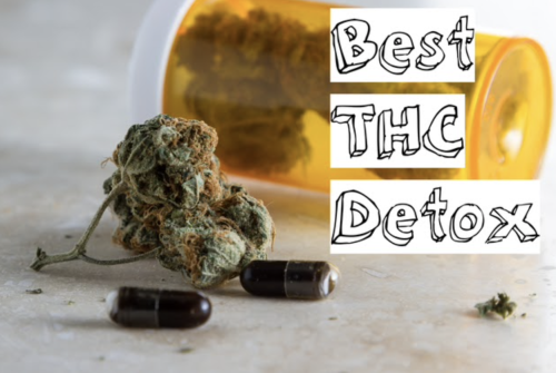 Understand More About THC Detox