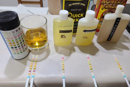 Passing a Drug Test: Choosing the Right Synthetic Urine Kit